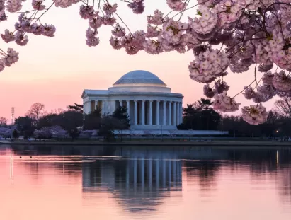 washington dc